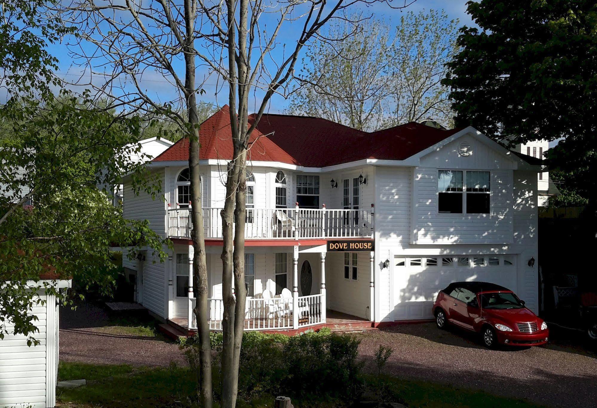 Dove House Bed & Breakfast Harbourside North Sydney Exterior foto